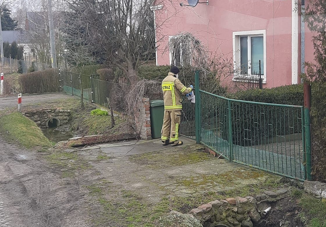 163558432_486588019387911_4812179438981014349_n