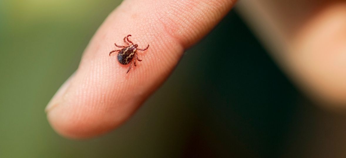 451610652_827767895998033_1526320228346818989_n