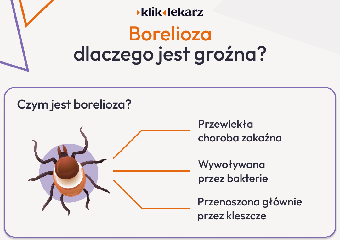 Artykuł edukacyjny - Borelioza