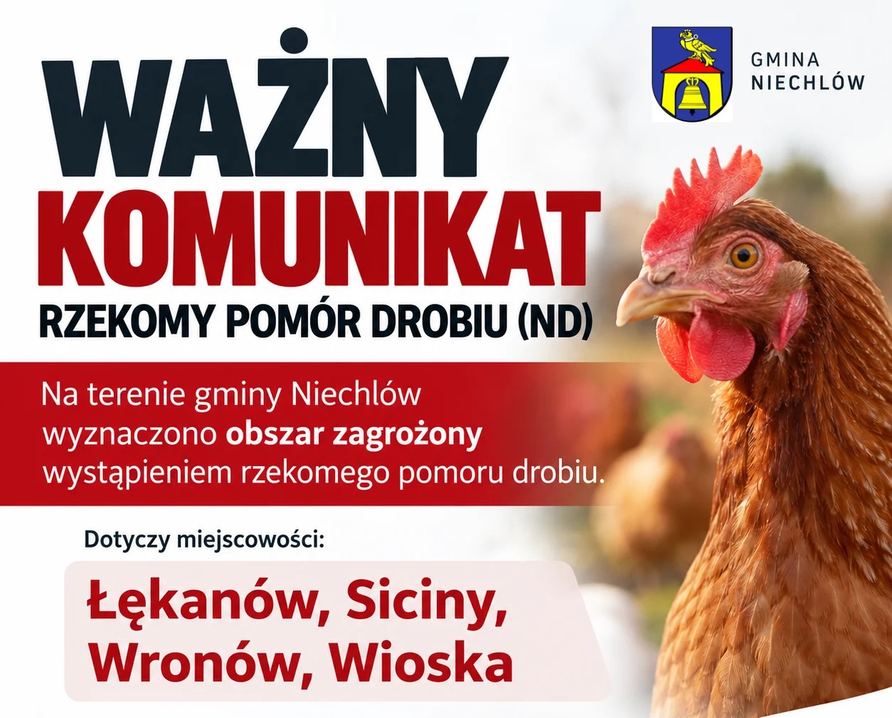 WAŻNY KOMUNIKAT – RZEKOMY POMÓR DROBIU (ND)