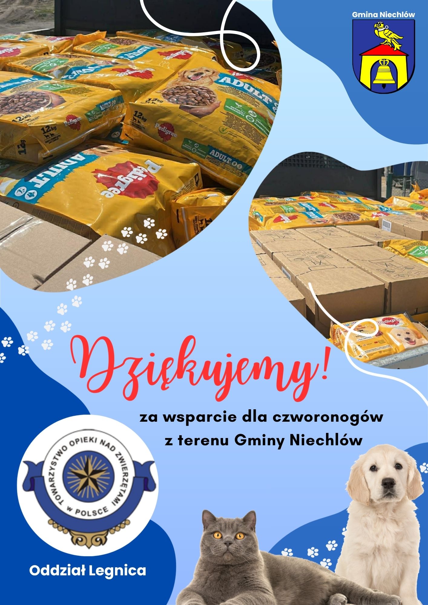 Ogromne wsparcie dla psiaków i kociaków!